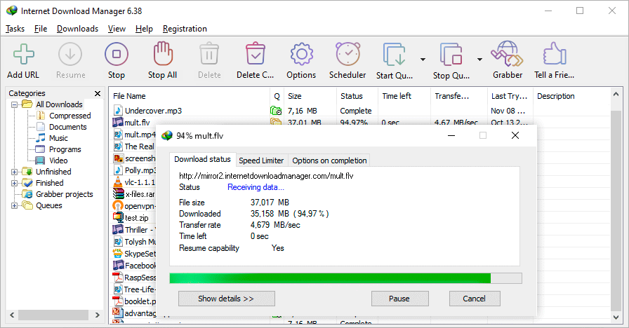 Internet Download Manager image