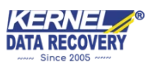 Kernel Data Recovery