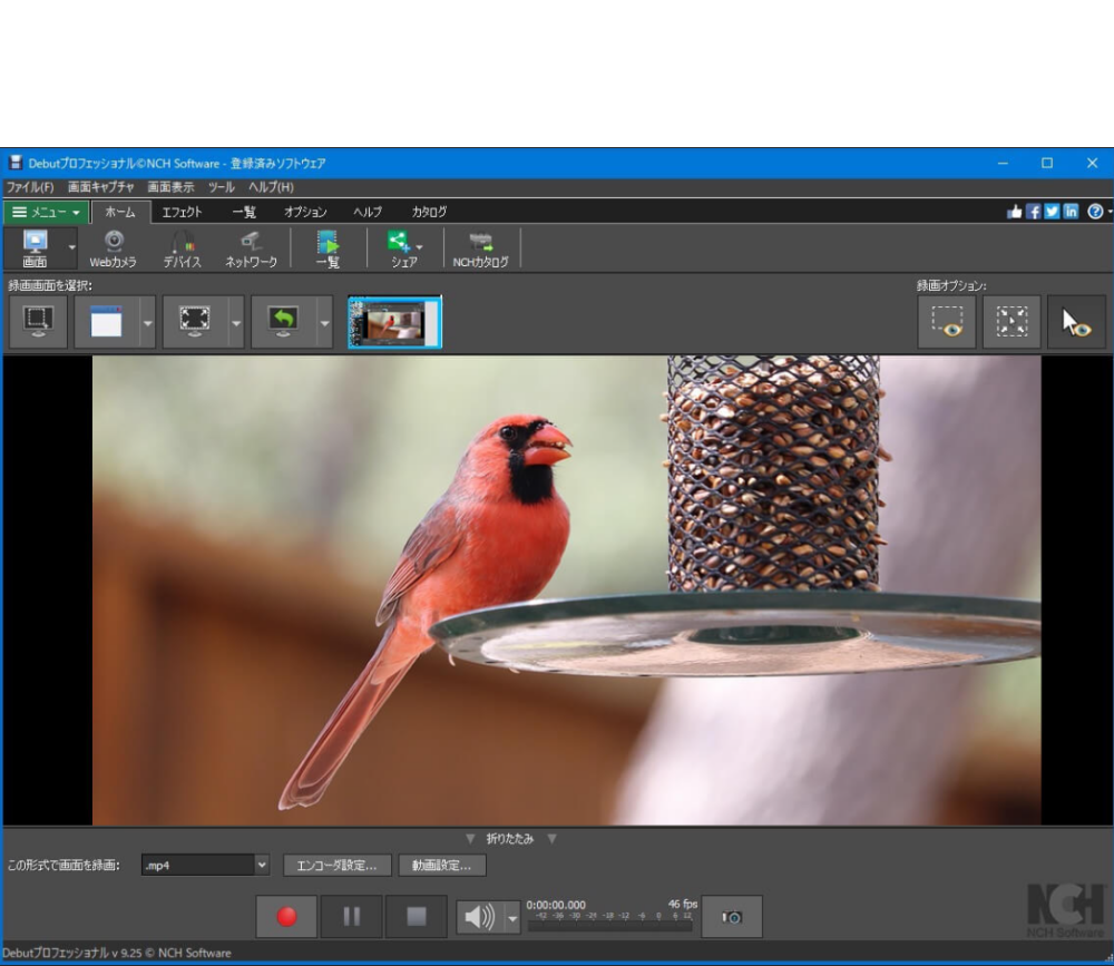 Debut 動画キャプチャソフト プロ版