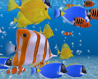 3D Fish School Screensaver