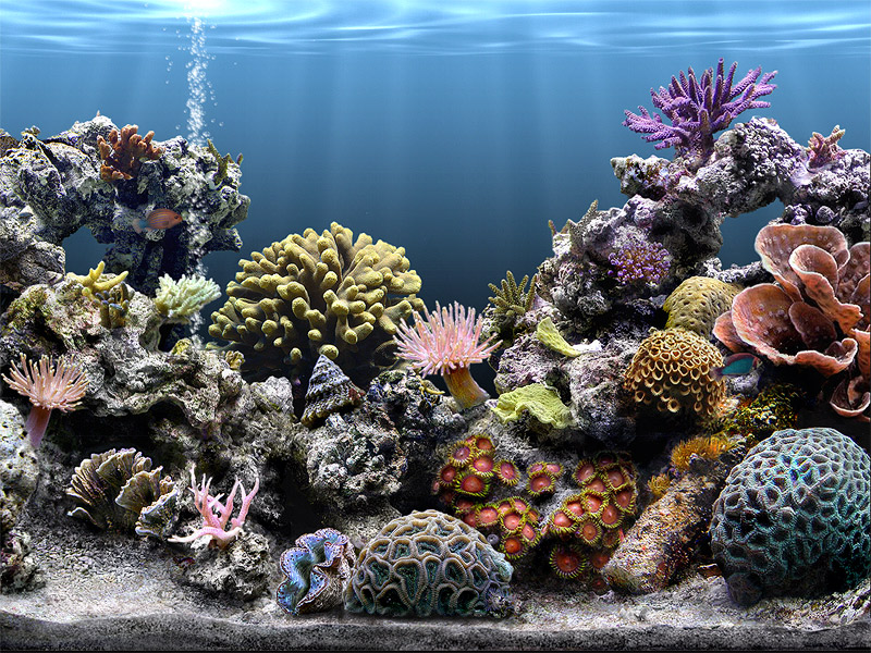Sim Aquarium Free Tank
