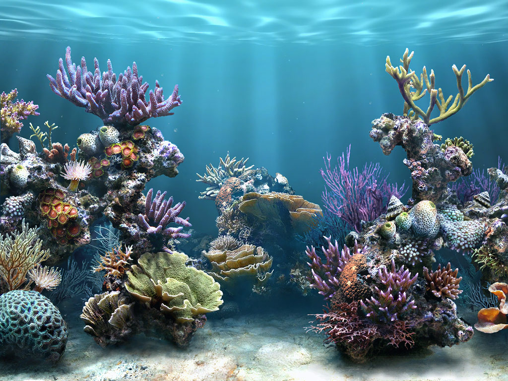 Sim Aquarium - PLATINUM