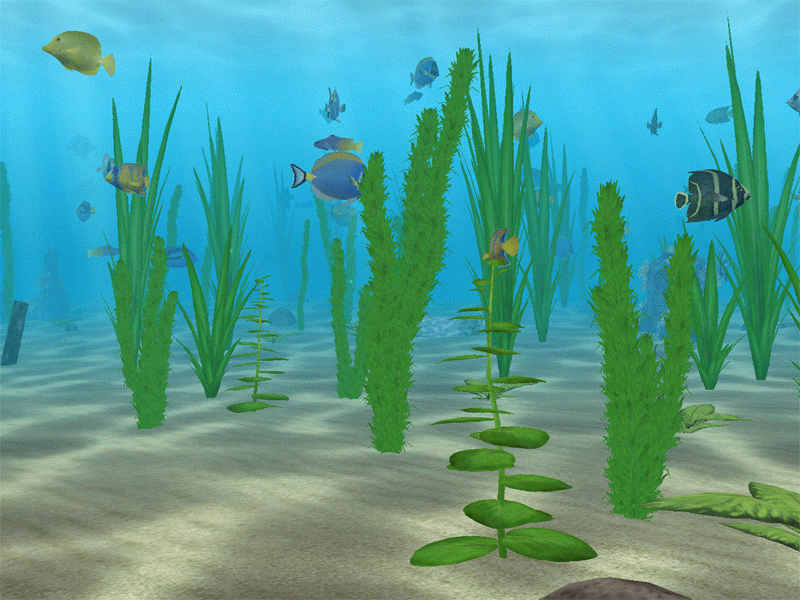 Water Life 3D Screensaver