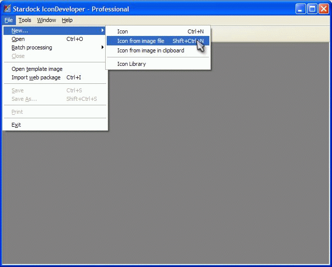 IconDeveloper