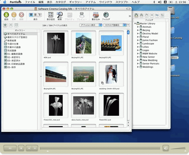 Portfolio