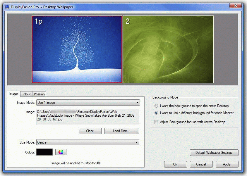DisplayFusion Pro Standard License