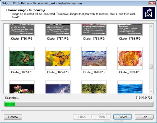 Odboso PhotoRetrieval Personal License