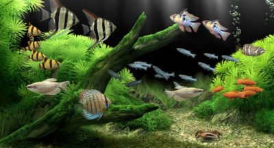 Dream Aquarium Screensaver 有料版