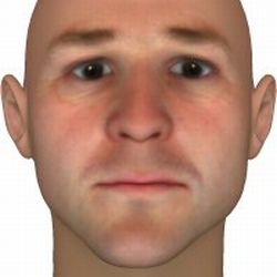 FaceGen Modeller Core