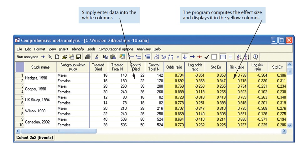 Comprehensive Meta-Analysis (Corporate/Professional version/Two-Year License)