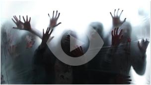 Zombie Invasion! Unexpected Guests (Shadows)