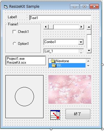 ResizeKit2 C++Builder