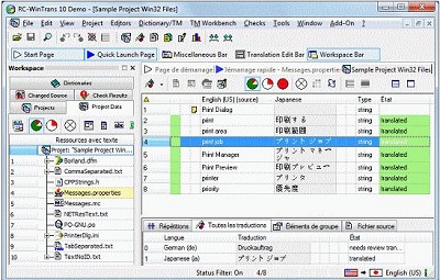 RC-WinTrans Professional
