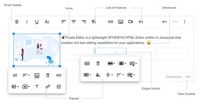 Froala Editor Basic one year free updates