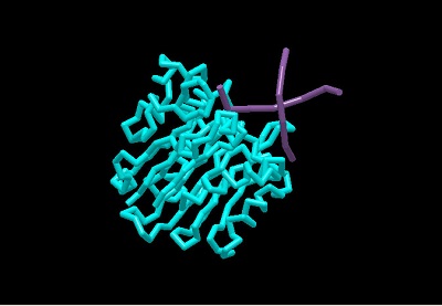 Molecular Modeling Pro Plus